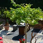 Ferien-apartment Im Genusshotel Hirschen 3* Kleines Wiesental