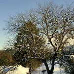 Apartmán Ferien-apartment Im Genusshotel Hirschen 3*