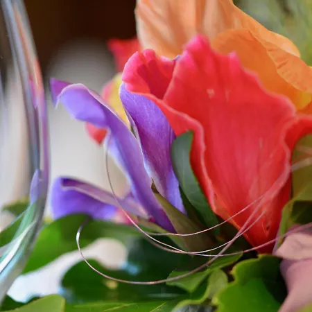 Appartement Ferien-apartment Im Genusshotel Hirschen