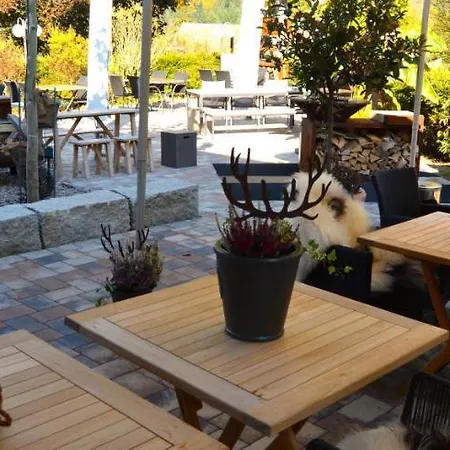 Ferien-apartment Im Genusshotel Hirschen