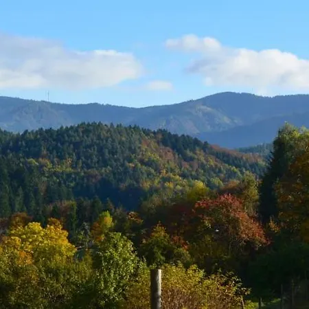 Ferien-apartment Im Genusshotel Hirschen Apartman