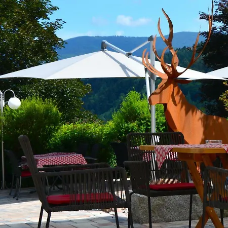 Ferien-apartment Im Genusshotel Hirschen Appartement 3*