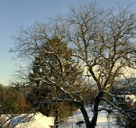 Apartman Ferien-apartment Im Genusshotel Hirschen 3*